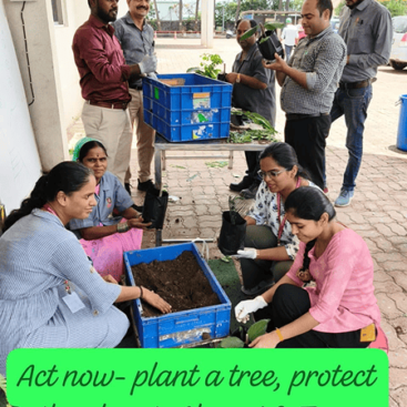 World Environment Day 2025 Post IMG-3